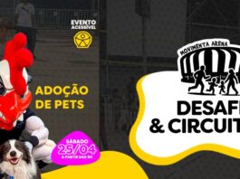 Movimenta Arena: Instituto Galo abre fim de semana na Casa do Galo – Clube Atlético Mineiro