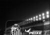 Santos FC e Consórcio Tradição anunciam lançamento do “Consórcio do Peixe” – Santos Futebol Clube