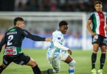 Vidente lê as cartas e CRAVA vencedor de Grêmio x Palestino pela Sul-Americana – Portal do Gremista