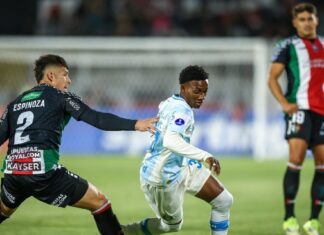 Vidente lê as cartas e CRAVA vencedor de Grêmio x Palestino pela Sul-Americana – Portal do Gremista