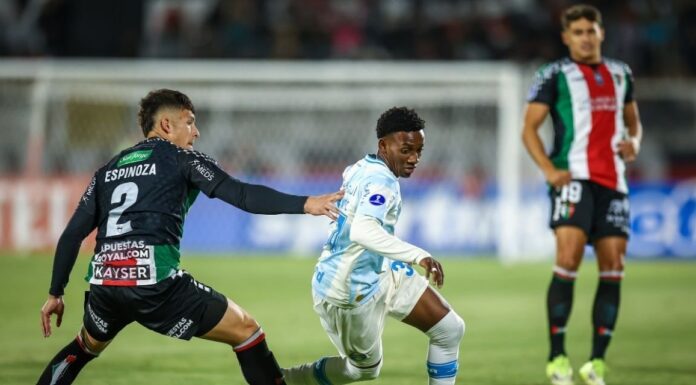 Vidente lê as cartas e CRAVA vencedor de Grêmio x Palestino pela Sul-Americana – Portal do Gremista