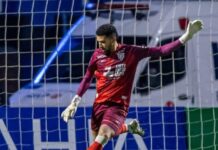 Emprestado pelo Cruzeiro, Léo Aragão é campeão da Copa Sul-Sudeste como titular do Avaí; confira – Diário Celeste