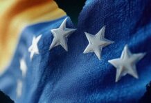 Grêmio manifesta apoio à Venezuela após terremotos e incentiva ajuda da torcida – Portal do Gremista
