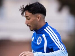 Últimas do Cruzeiro: saída de meia e retorno de goleiro – Diário Celeste