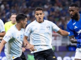 Vai passar em qual canal? Onde assistir a Cruzeiro x Grêmio ao vivo hoje (12) – Diário Celeste