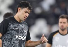 Botafogo ganha reforço na zaga para jogo contra o Cruzeiro neste domingo – Diário Celeste