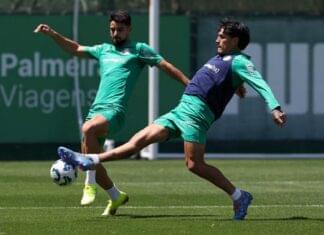 Escalação do Palmeiras: Verdão deve ter desfalques contra o Bahia – Nosso Palestra