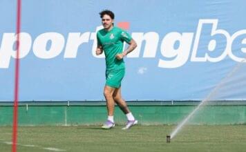 Palmeiras prepara retornos para jogo contra Flamengo – Nosso Palestra