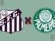 Santos x Palmeiras: onde assistir ao vivo, horário e escalações do jogo pelo Brasileirão – Nosso Palestra